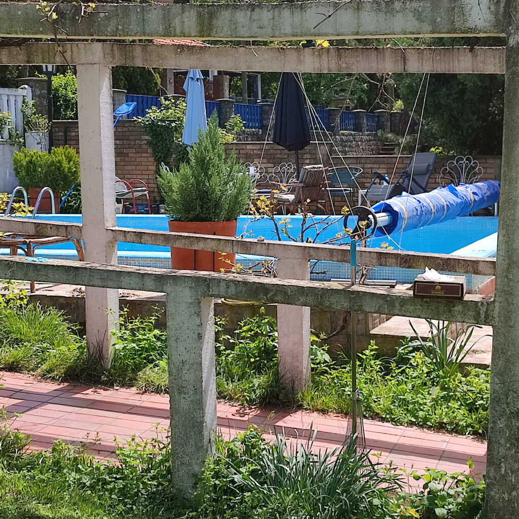 Swimming pool area, back yard