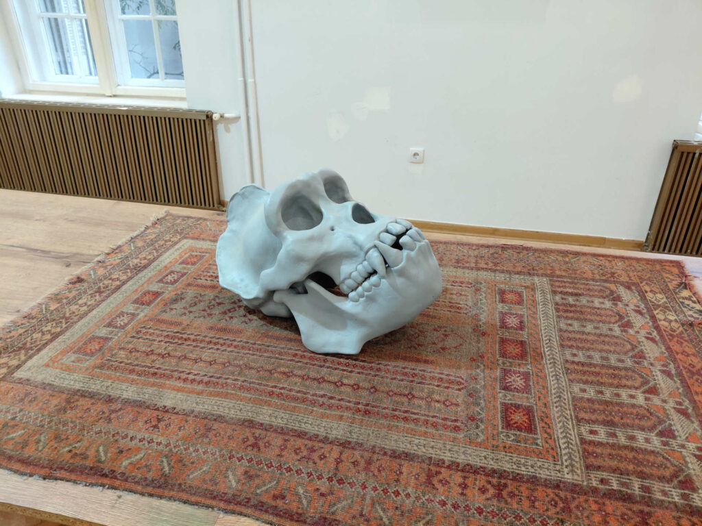 20261012_171424+